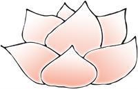 Lotus, Praktijk Voor Massagetherapie en Healing