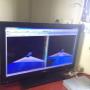 Teledyne RESON BV