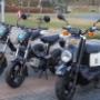 Autorijschool Buter