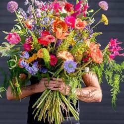 Exoo Bloemen Robert