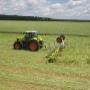 Roes Landbouwmechanisatiebedrijf