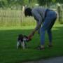 spelen met je hond