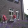Schildersbedrijf Ron den Boef