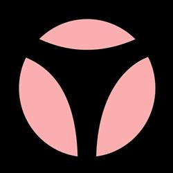Rosa Underwear m/v