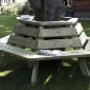 Rotte Handel in Tuinhout Fa C