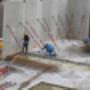 Rottier Technisch Advies