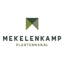 Mekelenkamp I plantenman.nl - Interieurbeplanting