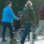 Heeren Loo 's