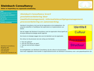 Steinbuch Consultancy