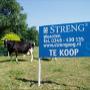 Streng BV Agrarisch Onroerend Goed NVM