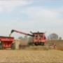 Streng BV Agrarisch Onroerend Goed NVM