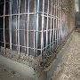 Ten Have Beton