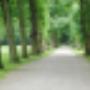 Theeschenkerij Velserbeek