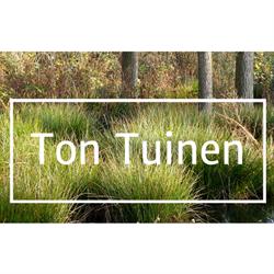 Ton Vissers Tuinontwerp