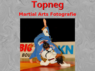 Topneg