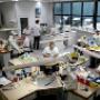 TTL-Appelhof.nl Laboratorium