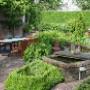Landelijke tuin Geldermalsen