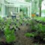 Tuinrenovatie Deil