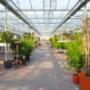 Tuincentrum van den Berg
