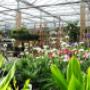 Tuincentrum van den Berg