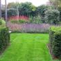 Hoveniersbedrijf TuinMetamorfose