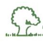 Hoveniersbedrijf TuinMetamorfose