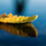 Mindfulness Meditatie