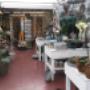 winkel