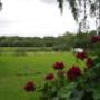 VakantieMeerlo Herenhuis Tuin