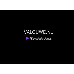 Rhododendroncentrum De Valouwe