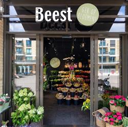 Beest Bloemen en Planten Van