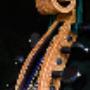 Vioolbouw F J vd Voort