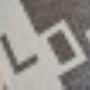 Ven-Hollanders vd
