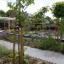 Verwer Plant VOF