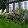 Verwer Plant VOF