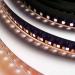 Film & Video Transfer Hoogendoorn