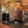 Restaurant Watermolen Bels