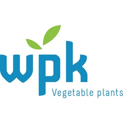 WPK BV