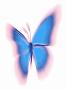 Nlp en Hypnotherapiepraktijk Esmée Karstanje-Hanegraaf