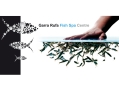 Garra Rufa Fish Spa Centre