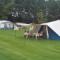 Tent plaats