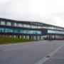 Kluiverboom