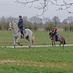 Hippisch Centrum Eelde
