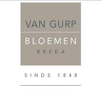 van Gurp Bloemen