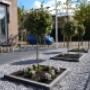 renovatie voortuin