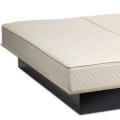 Softside Waterbed