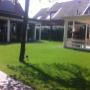 kunstgras achtertuin