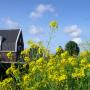 Vestiging Praktijk voor Mesologie Aalsmeer