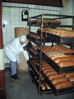 Brood