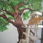 Dierenpension Happy Care